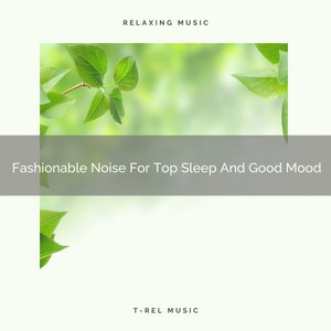 Fashionable Noise For Top Sleep And Good Mood album