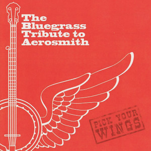 The Bluegrass Tribute to Aerosmith album