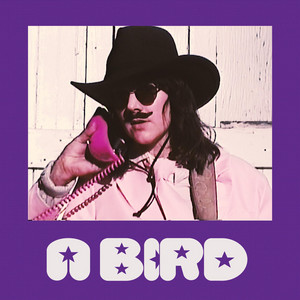 A Bird by Izzy Outerspace