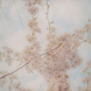 Across Dreams by Quiet Point