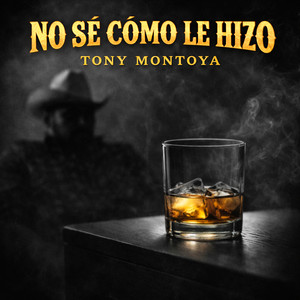 No sé cómo le hizo by Tony Montoya