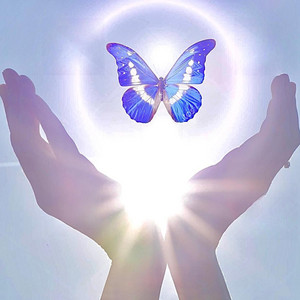 Schmetterling