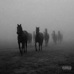 41 NORTH by OZN