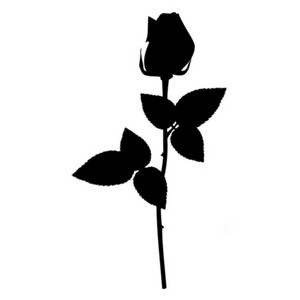 The Rose by No.Yes