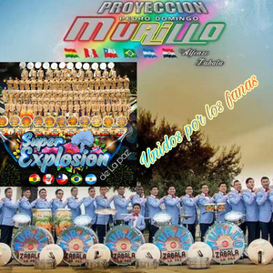 Unidos por los Fanas