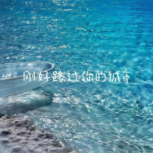 刚好路过你的城市 by 林诗曼