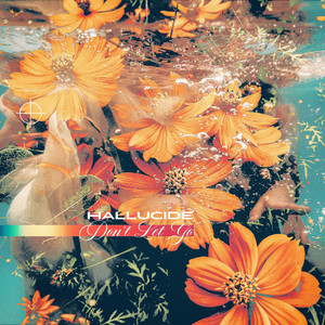 Don't Let Go by HALLUCIDE