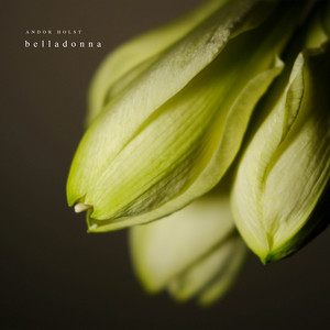 Belladonna by Andor Holst