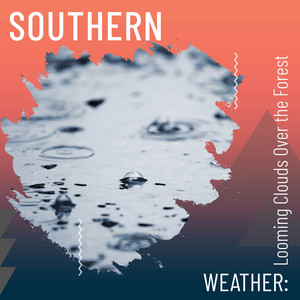 Southern Weather: Looming Clouds Over the Forest album