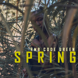 Party by Rmb code green