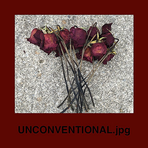 UNCONVENTIONAL by Joey Melrose