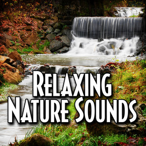 Borneo Jungle Oasis for Deep Sleep with Nature Sound