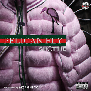 Portada de PELICAN FLY