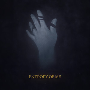 Entropy of Me by Ions