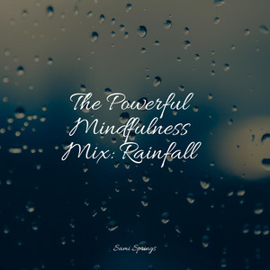 The Powerful Mindfulness Mix: Rainfall album