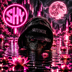Magnetic Mayhem | SHY by shynox_official