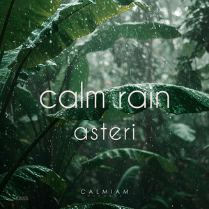 calm rain by Zelunis