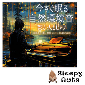 Sleepy Nuts - Journey for Refreshment (Healing Bonfire)