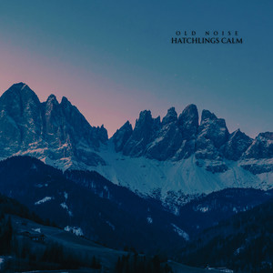 Old Noise by Hatchlings Calm