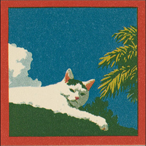 Meadow Script by Postcard Valley