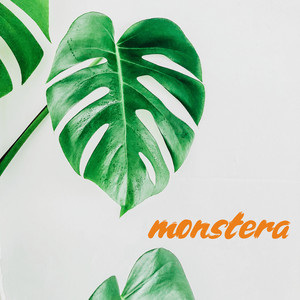 monstera by Mano, Rytmdesign