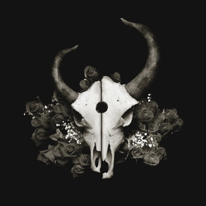 Summer of Darkness album