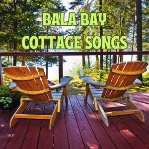 Long Cool Woman (In a Black Dress) - song and lyrics by The Hollies |  Spotify