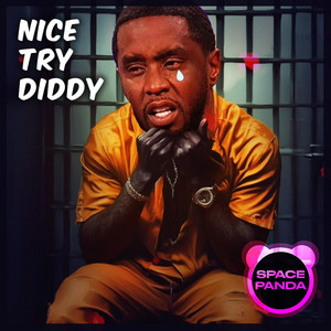 NICE TRY DIDDY (Going to the FREAK OFF)