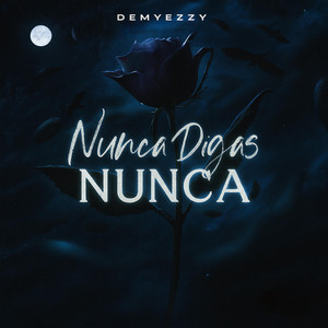 Nunca digas Nunca by Demyezzy