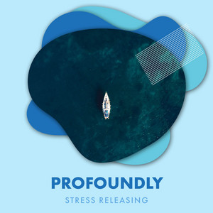 zZz Profoundly Stress Releasing Ocean Ambiance zZz album