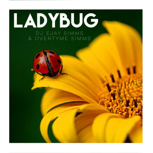 Ladybug (feat. Dj Ejay Simms)