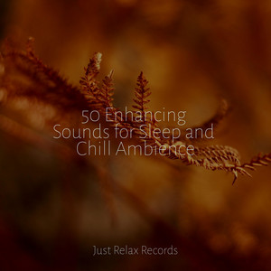 50 Enhancing Sounds for Sleep and Chill Ambience