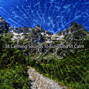 Calmly Collected by Anxiety Healing