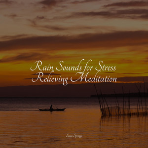 Rain Sounds for Stress Relieving Meditation album