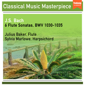 Bach, J.S.- Flute Sonatas, BWV 1030-1035 (Romantic, Beautiful, Relaxation, Immortal Melodic Series)