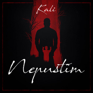 Nepustim Prod.Hoodini