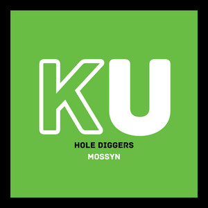 Hole Diggers cover