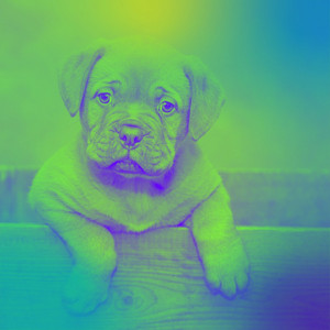 Music for Best Friends - Pulsating Bossanova album