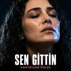 Sen Gittin by Anatolian Pulse