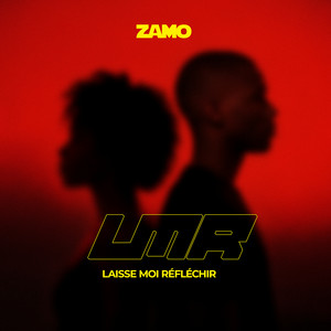 Laisse moi réfléchir by Zamo