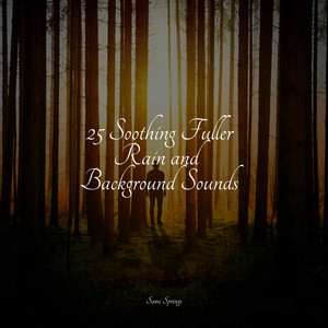25 Soothing Fuller Rain and Background Sounds album