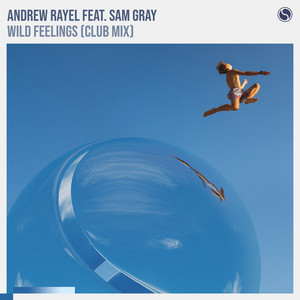 Wild Feelings (feat. Sam Gray) - Club Mix by Andrew Rayel, Sam Gray