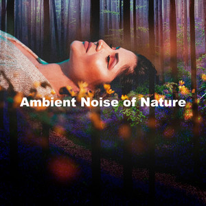 Ambient Noise of Nature