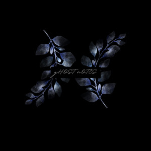 Ghost Notes by Rocker Man