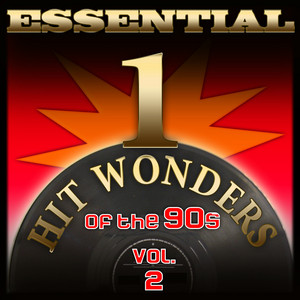Essential One-Hit Wonders of the 90s-Vol.2 album