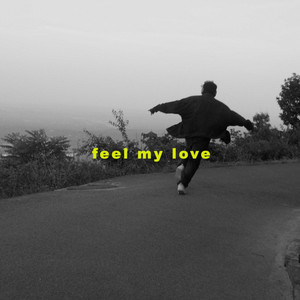 DHANESH - Feel My Love
