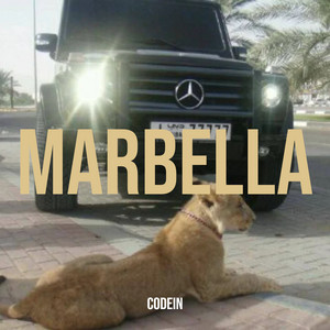marbella by codein, ajaaki, gus