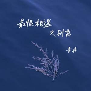 最恨相遇又别离 - Dj版 by 青冉, 越鑫