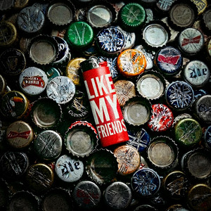 Like My Friends by Hunter Bradley