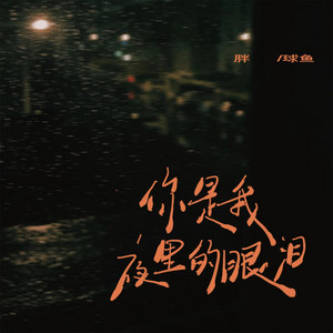 你是我夜里的眼泪 by 胖球鱼